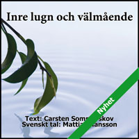 Trollmännen på Saturnus omslag 2